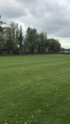 Kelso Football Club Image